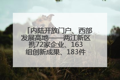 内陆开放门户、西部发展高地——两江新区携72家企业、163组创新成果、183件特色产品亮相西洽会