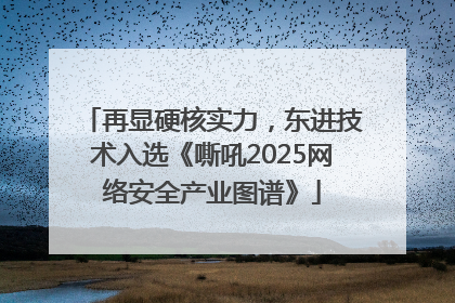 再显硬核实力，东进技术入选《嘶吼2025网络安全产业图谱》