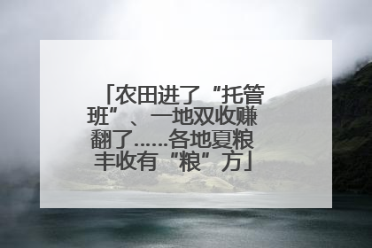 农田进了“托管班”、一地双收赚翻了……各地夏粮丰收有“粮”方