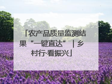 农产品质量监测结果“一键直达”｜乡村行·看振兴