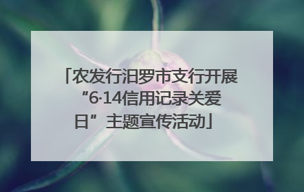 农发行汨罗市支行开展“6·14信用记录关爱日”主题宣传活动