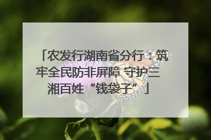 农发行湖南省分行：筑牢全民防非屏障 守护三湘百姓“钱袋子”