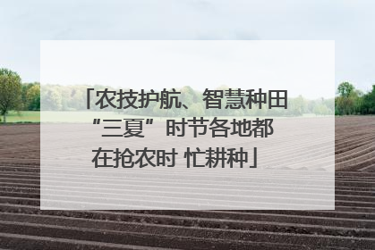 农技护航、智慧种田 “三夏”时节各地都在抢农时 忙耕种