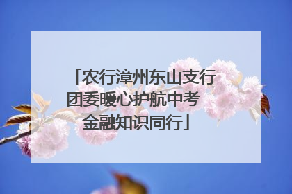 农行漳州东山支行团委暖心护航中考 金融知识同行