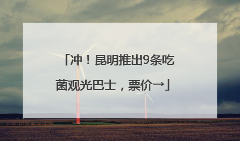 冲！昆明推出9条吃菌观光巴士，票价→
