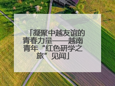 凝聚中越友谊的青春力量——越南青年“红色研学之旅”见闻