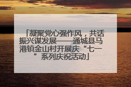 凝聚党心强作风，共话振兴谋发展——通城县马港镇金山村开展庆“七一”系列庆祝活动