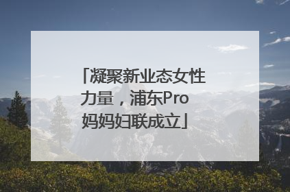 凝聚新业态女性力量，浦东Pro妈妈妇联成立