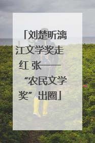 刘楚昕漓江文学奖走红 张一一“农民文学奖”出圈