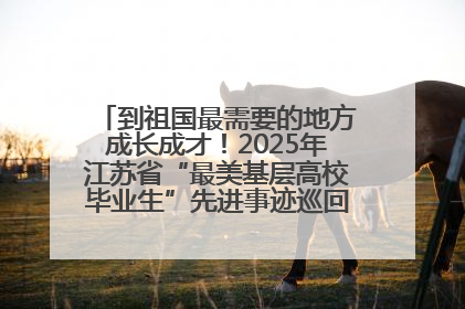 到祖国最需要的地方成长成才！2025年江苏省“最美基层高校毕业生”先进事迹巡回宣讲会在宁启动