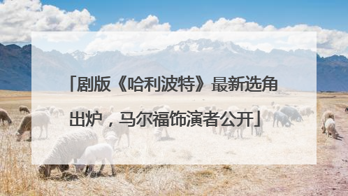剧版《哈利波特》最新选角出炉，马尔福饰演者公开