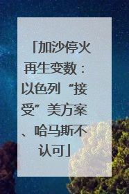 加沙停火再生变数：以色列“接受”美方案、哈马斯不认可
