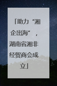 助力“湘企出海”，湖南省湘非经贸商会成立