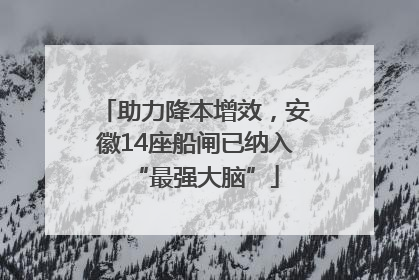 助力降本增效，安徽14座船闸已纳入“最强大脑”