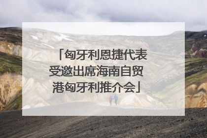 匈牙利恩捷代表受邀出席海南自贸港匈牙利推介会