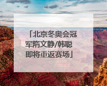 北京冬奥会冠军隋文静/韩聪即将重返赛场