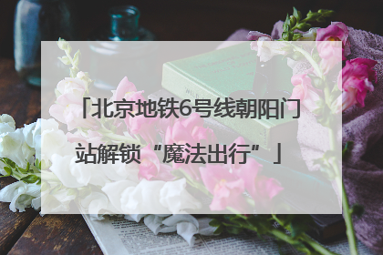 北京地铁6号线朝阳门站解锁“魔法出行”
