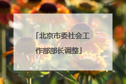 北京市委社会工作部部长调整