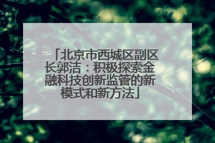 北京市西城区副区长郭洁：积极探索金融科技创新监管的新模式和新方法