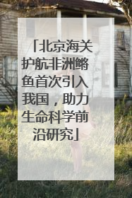 北京海关护航非洲鳉鱼首次引入我国，助力生命科学前沿研究