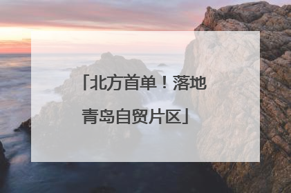 北方首单！落地青岛自贸片区