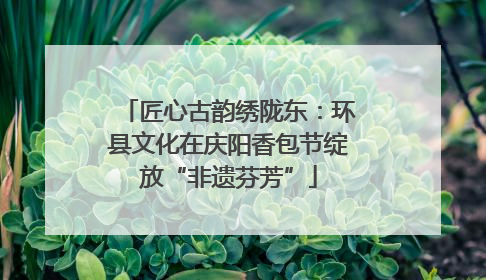 匠心古韵绣陇东：环县文化在庆阳香包节绽放“非遗芬芳”