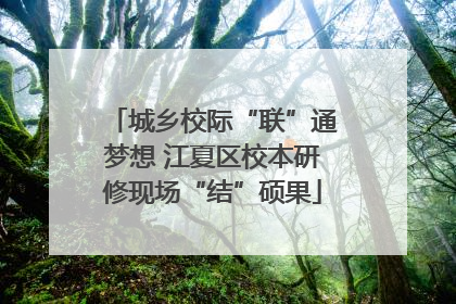 城乡校际“联”通梦想 江夏区校本研修现场“结”硕果