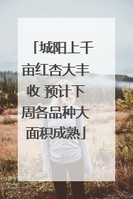城阳上千亩红杏大丰收 预计下周各品种大面积成熟