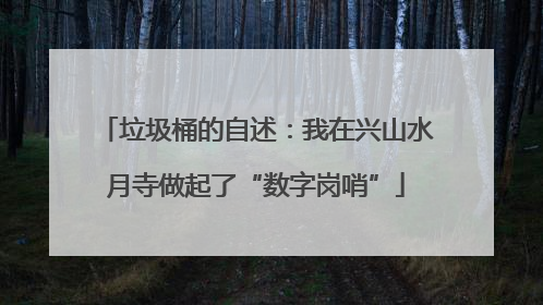 垃圾桶的自述：我在兴山水月寺做起了“数字岗哨”