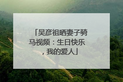 吴彦祖晒妻子骑马视频：生日快乐，我的爱人