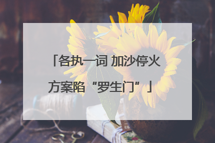 各执一词 加沙停火方案陷“罗生门”