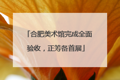 合肥美术馆完成全面验收，正筹备首展