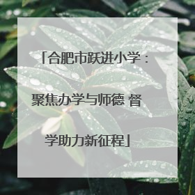 合肥市跃进小学：聚焦办学与师德 督学助力新征程