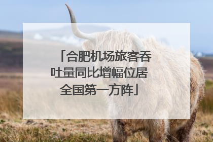 合肥机场旅客吞吐量同比增幅位居全国第一方阵