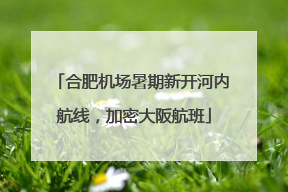 合肥机场暑期新开河内航线，加密大阪航班