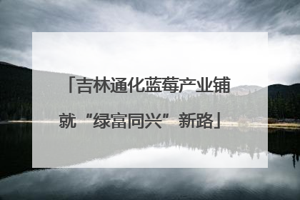 吉林通化蓝莓产业铺就“绿富同兴”新路
