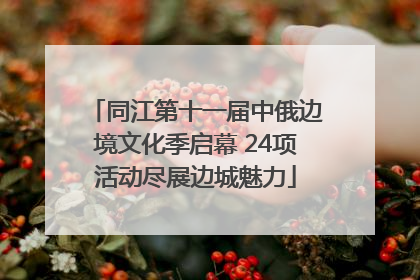 同江第十一届中俄边境文化季启幕 24项活动尽展边城魅力