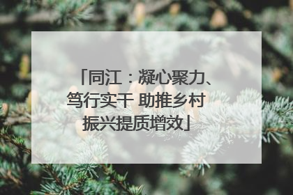 同江：凝心聚力、笃行实干 助推乡村振兴提质增效