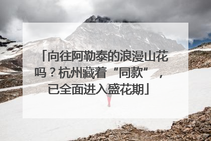 向往阿勒泰的浪漫山花吗？杭州藏着“同款”，已全面进入盛花期