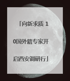 向新求质 10国外籍专家开启西安调研行