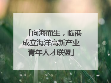 向海而生，临港成立海洋高新产业青年人才联盟