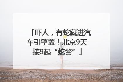 吓人，有蛇藏进汽车引擎盖！北京9天接9起“蛇警”