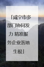 咸宁市多部门协同发力 精准服务企业落地生根