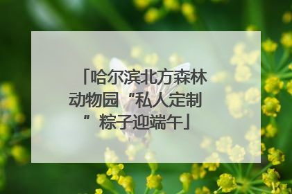 哈尔滨北方森林动物园“私人定制”粽子迎端午