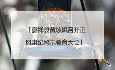 嘉祥县黄垓镇召开正风肃纪警示教育大会