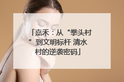 嘉禾：从“拳头村”到文明标杆 清水村的逆袭密码