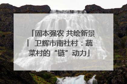 固本强农 共绘新景 ︳卫辉市南社村：蔬菜村的“链”动力