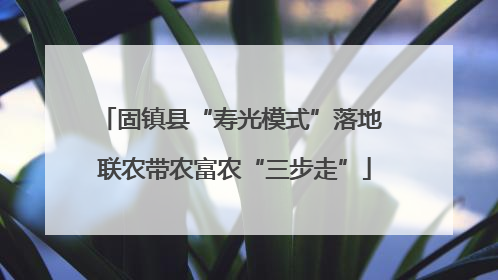 固镇县“寿光模式”落地 联农带农富农“三步走”
