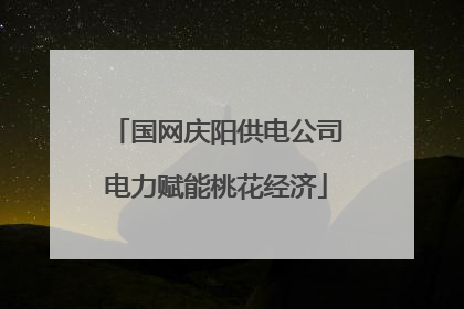 国网庆阳供电公司电力赋能桃花经济