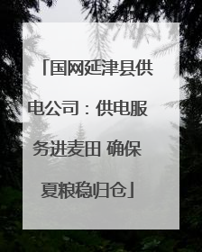 国网延津县供电公司：供电服务进麦田 确保夏粮稳归仓